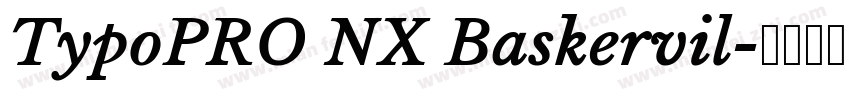 TypoPRO NX Baskervil字体转换